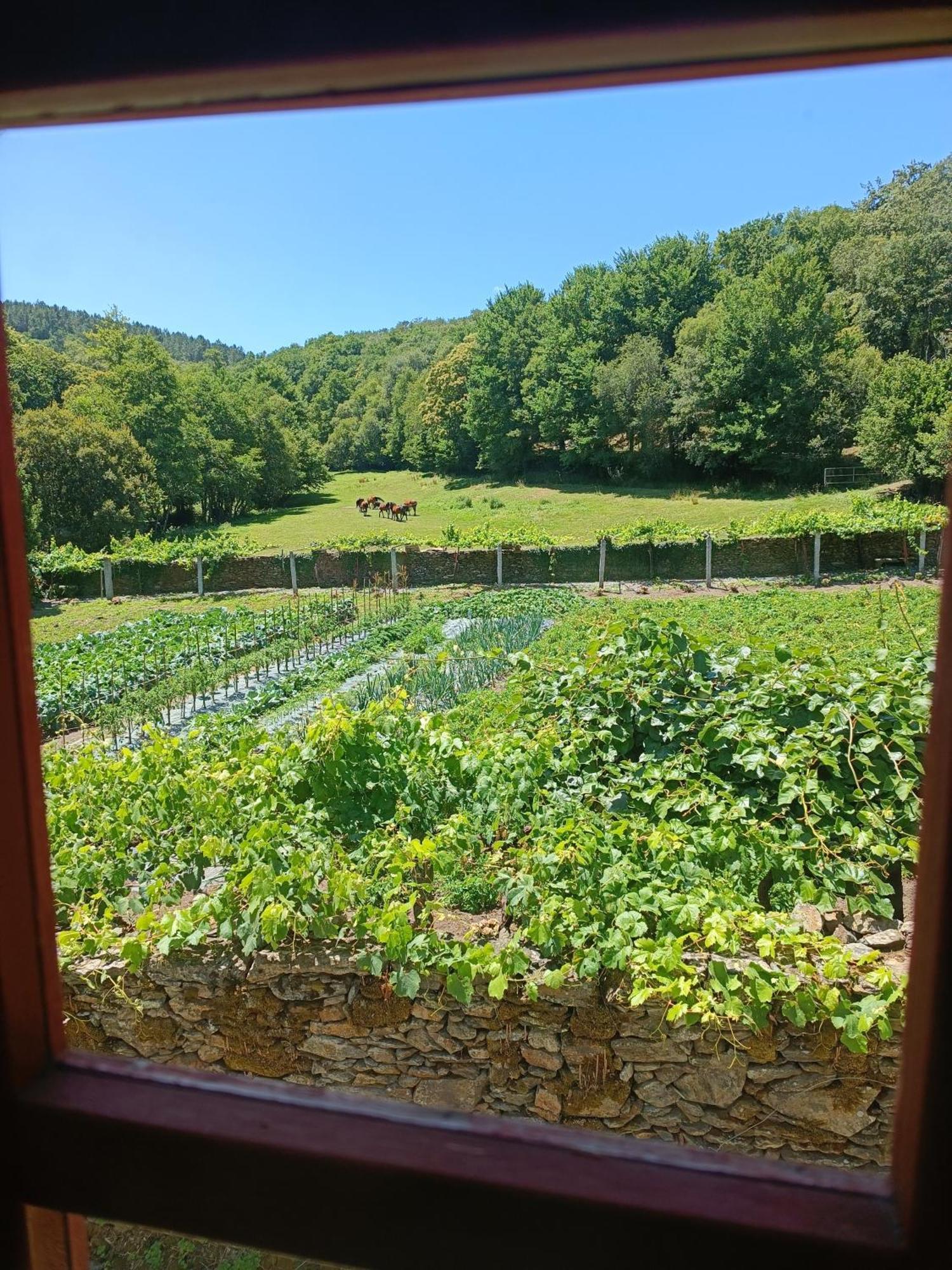 Casa Grande De Covas-Apartamentos Turisticos Taboada Εξωτερικό φωτογραφία