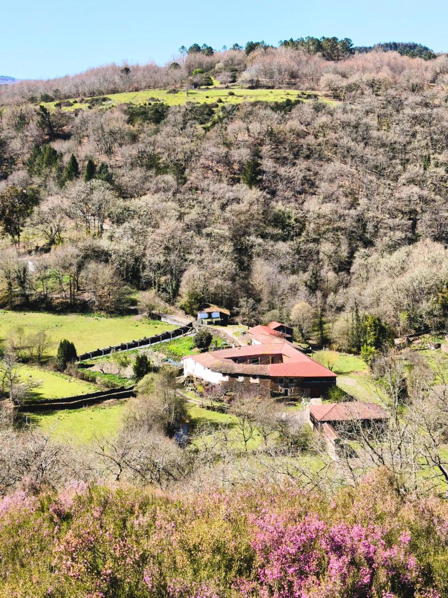 Casa Grande De Covas-Apartamentos Turisticos Taboada Εξωτερικό φωτογραφία